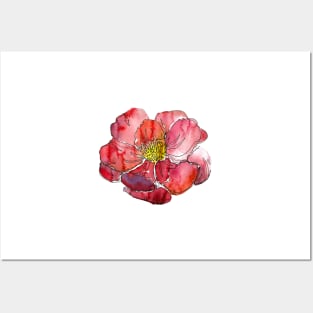 Watercolor peonies pink spring girly red Posters and Art